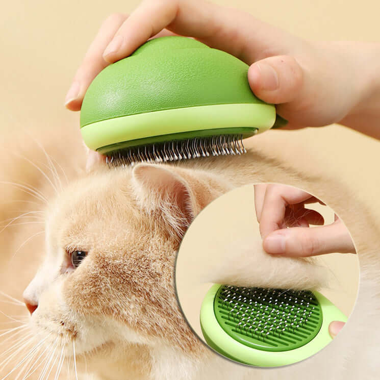 Cat brush hair remover in avocado green, gently de-shedding loose fur while massaging a cat.