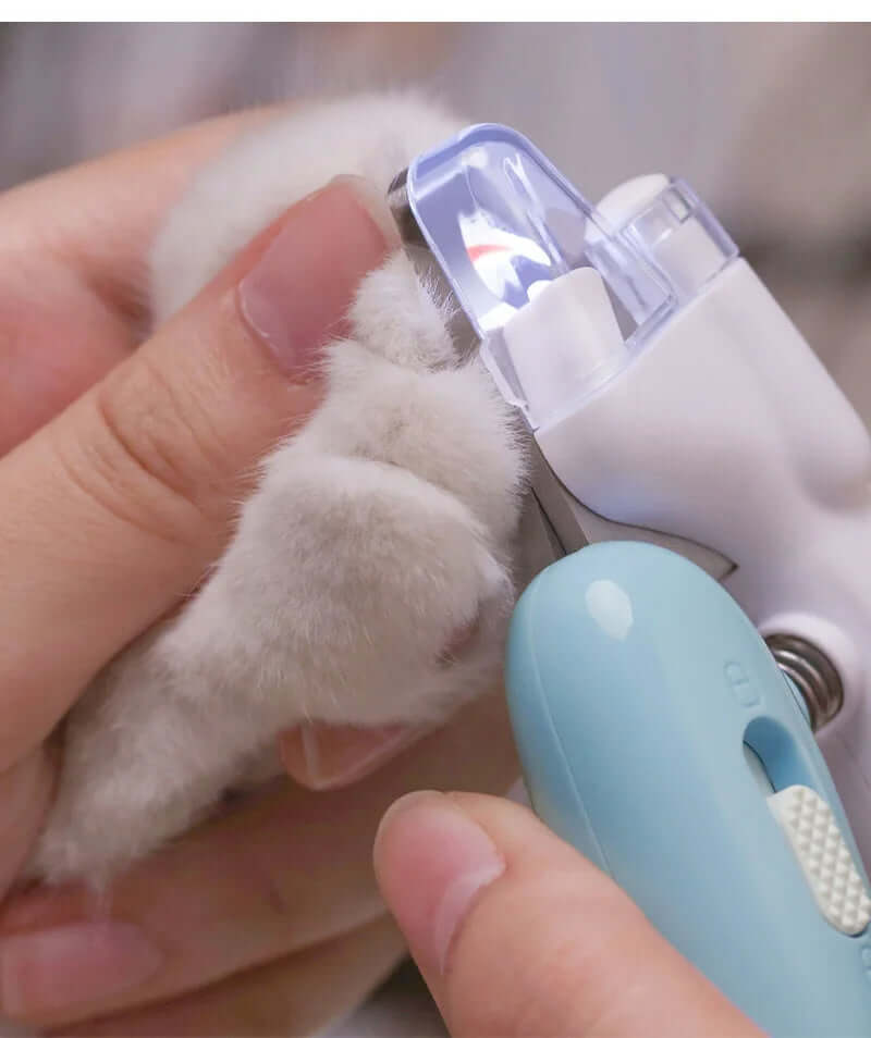 Person using LED electric pet nail clippers on a cat's paw, showcasing safe trimming and built-in light.