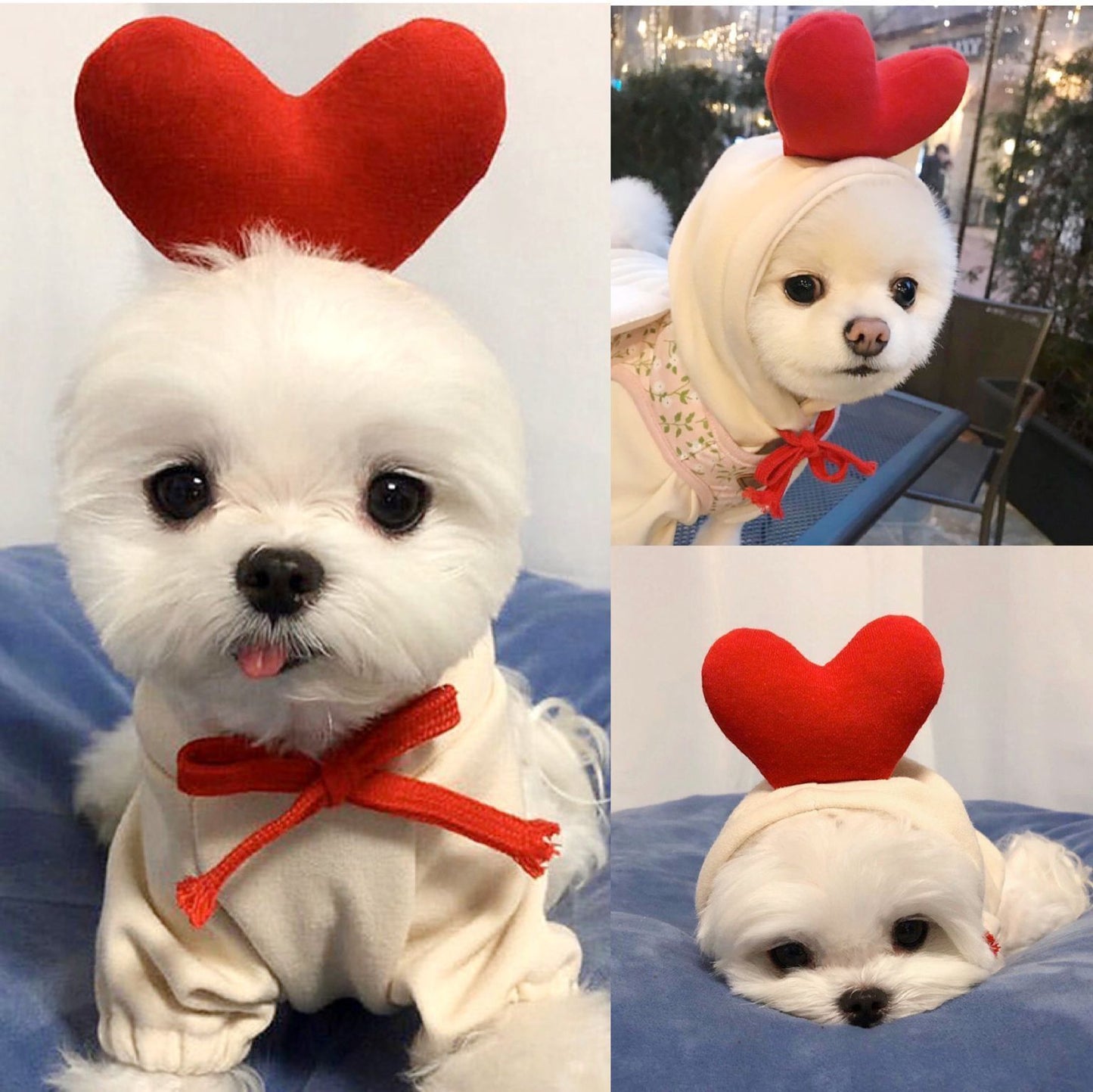 Hoodies Winter Warm Fleece Pet Clothing