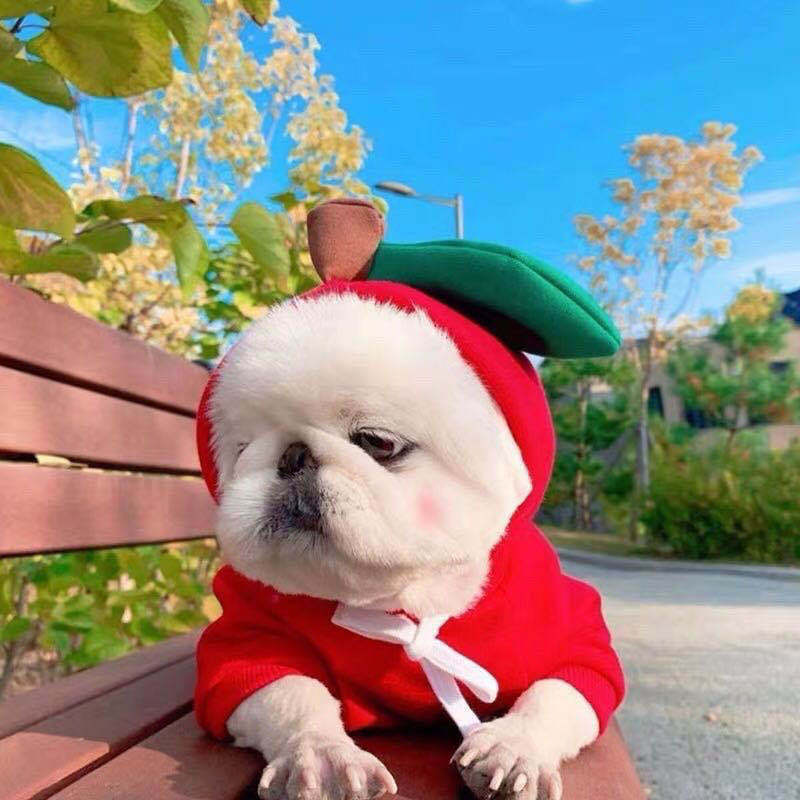 Hoodies Winter Warm Fleece Pet Clothing