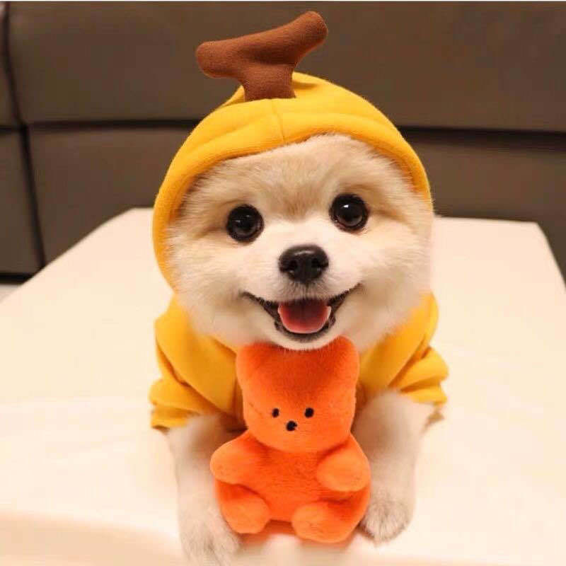 Hoodies Winter Warm Fleece Pet Clothing