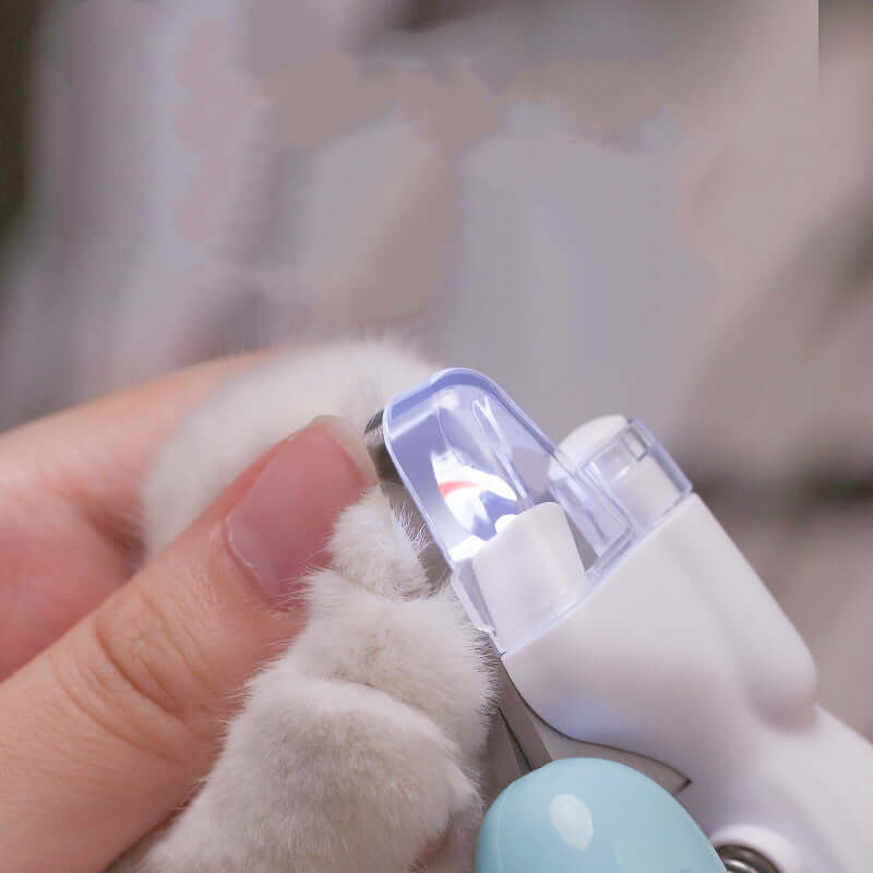 Close-up of LED pet nail clippers trimming a cat's claw, featuring comfortable ergonomic design.