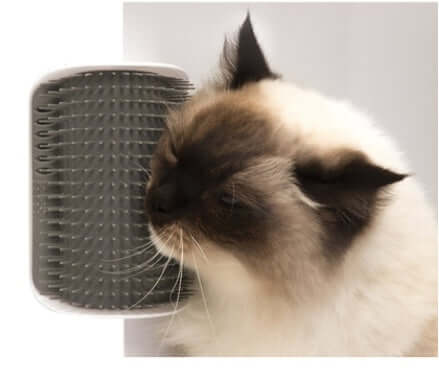 Cat enjoying a gentle self-grooming massage with a wall-mounted brush, highlighting its soft rubber bristles.
