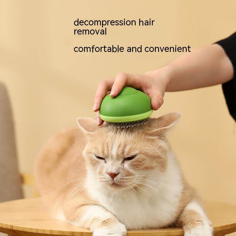Comfortable cat brush for hair removal, featuring a green 2-in-1 design for de-shedding and massage.