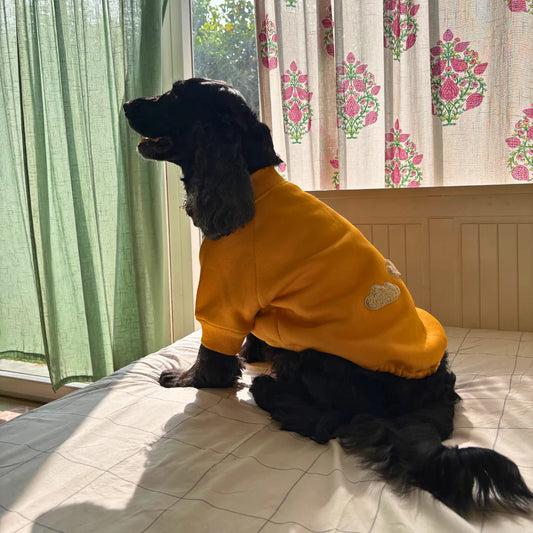Hoodies Winter Warm Fleece Pet Clothing